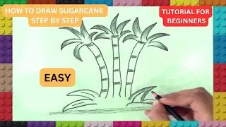 How to draw Sugarcane drawing || Ganna drawing kaise banate hain || step by step Sugarcane Drawing