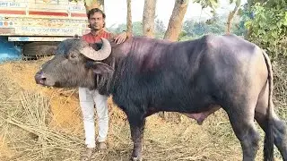 বাঁকুড়ার গৌরাঙ্গ মাহাতোর বাড়ি থেকে সরাসরি লাইভ দেখুন