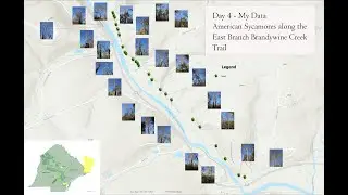 HOW-TO:  ArcGIS Field Maps for Photo Point Collection - Photo Map Creation in ArcGIS Pro