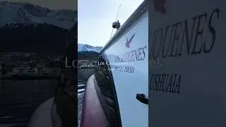 Los cauquenes Argentina