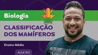 Classifica&ccedil;&atilde;o dos mam&iacute;feros​ - Biologia - Ensino M&eacute;dio
