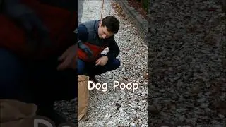 That brown bag old trick worked ☝️😏 #joeblond #joes4reel #dogpoop #comedy
