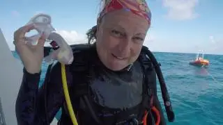 Amber Waves Diving  Turks and Caicos Aggressor Trip