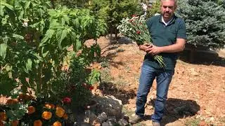 DİNNUR EMRE EKİZER İSİMLİ BİR YİĞİT VARDI....