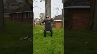 Wild Goose Flying (Shibashi 1, First 18 Moves Tai Chi Chi Kung) adapted for the chair.