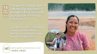 Genetic landscape of inbreeding depression and gene flow in a wild population of Florida Scrub Jays