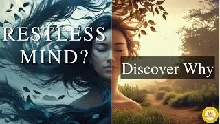 How to Calm Vata Dosha – Ayurveda’s Guide to Grounding & Balance