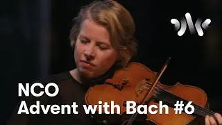 J.S. Bach: Partita No. 2 in d minor, Allemanda // Hanne Skjelbred, viola