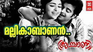 Mallikabanan Thante .... | Superhit Old Song| Achani | P. Jayachandran, P. Madhuri