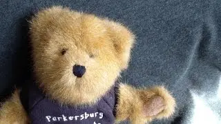 Boyds Bear