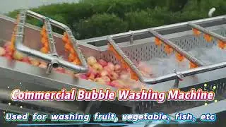 Fruit Bubble Washing Machine Vegetable Cleaning Equipment Apple Washer Avocado cleaner #fruit