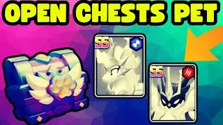ARCHERO: OPEN CHESTS PETS! I WANT TO GET SS-GRADE PETS!