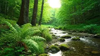 Crystal Stream Ambience &ndash; Soft Water Flow for Deep Sleep & Serenity