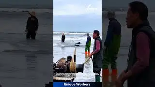 Ocean net fishing: people pulling nets with a machine