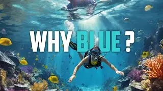Why ocean appears blue ? | #science #facts #shorts