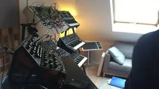 Make Noise STO, Erbeverb and Echophon playing with Moog DFAM