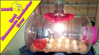 DIY Homemade Incubator Simple And Easy || Hatching Chicken Eggs