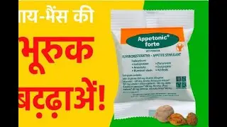 Pashu Ki Bhook Wapas! Full Details in Hinglish | Appetonic Forte Vet Powder Review