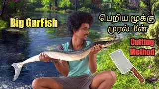 Big Fish Cutting | Garfish | மூக்கு முரல் | #fish #village