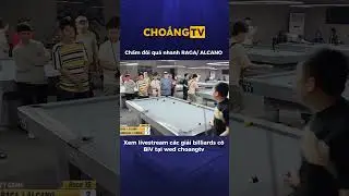 Chấm đ&ocirc;i qu&aacute; nhanh cho RAGA/ALCANO #billiards #pool1 #trendingshorts #ball #peipamonstro8ball