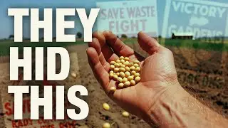 This WWII Super Seed Fed Nations When Meat Disappeared Why It Still Matters Today