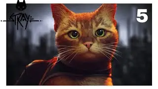 STRAY ~&ldquo;Traitor In MidTown&rdquo; (PART 5) 