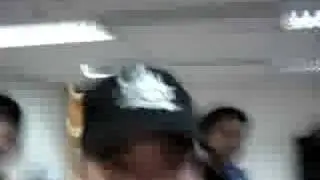 Elephant Moving Team