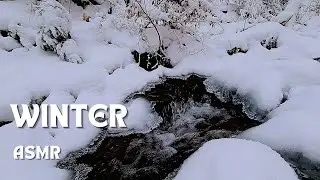 Winter Creek Relaxation | Soothing Snow & Water Sounds ASMR