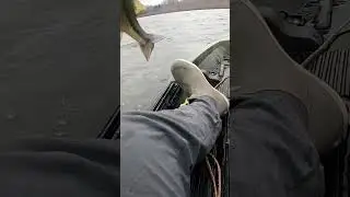 That’s a big one 🥴 #fyp #foryou #shorts #bass #bassfishing #largemouth