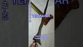 Kinatah bawah gonjo? TERMAHAR?