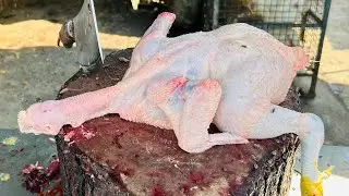 Chicken Cutting Skills By Professional Cutter | Best Chicken Cutting Skills 😱😱😱😱