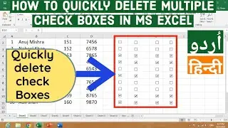 How to Quickly Delete Multiple Check Boxes in Ms Excel | Delete Check Boxes at Once in Ms Excel