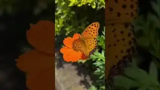 Life hurts,nature heals