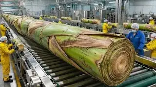Inside the Largest High-Tech Banana Stem Factory You've Never Seen Before (Full Process)