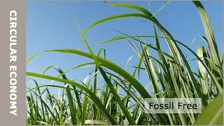 Mission Fossil Free