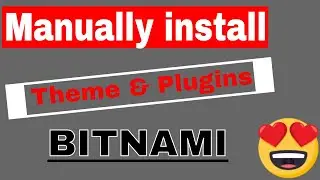Manually install theme and plugins in bitnami