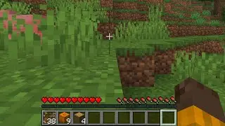 Viewers Help Me Survive Minecraft Night
