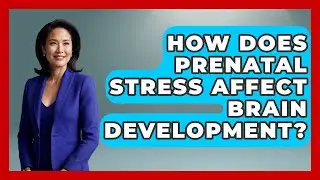 How Does Prenatal Stress Affect Brain Development? - Brain Development Hub