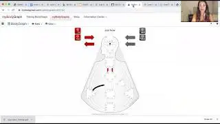 HUMAN DESIGN BASICS: INCARNATION CROSS EXPLAINED
