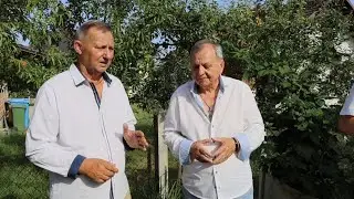Braća Jelavić - Oronula kućo stara (official video Music) 