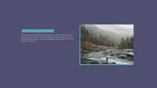 Content Reveal Effects   | Using HTML & CSS , JS  | 2021