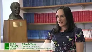 What is a good example of a placement that brings policy makers together with researchers?