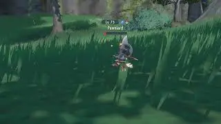 Aura Wheel Morpeko Move Footage Pokemon Scarlet & Violet