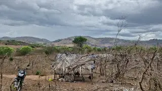 Muita chuva na caatinga nordestina, veja que temporal forte de chuva que caiu aqui de madrugada 