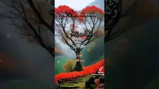 @aya-hs5km @IVYAslaMusic @punjabikharal0 @ImranKhanOfficialChannel @pashtotalk