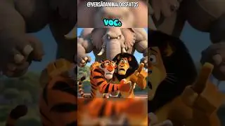 Tigre vs Le&atilde;o - Quem &eacute; o rei da Savana?
