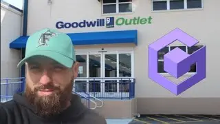 GameCube accessories at the Goodwill Bins!!  [St. Pete Video Game Hunting]