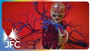 OFFICIAL TEASER VIDEO ANATOMY JFC 2025 - EVOLUXION