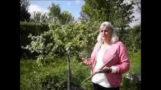 The 7 Layers of the Forest Garden with Maddy Harland