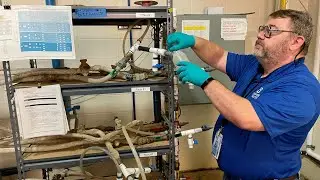 Denver Water researchers study lead pipes
